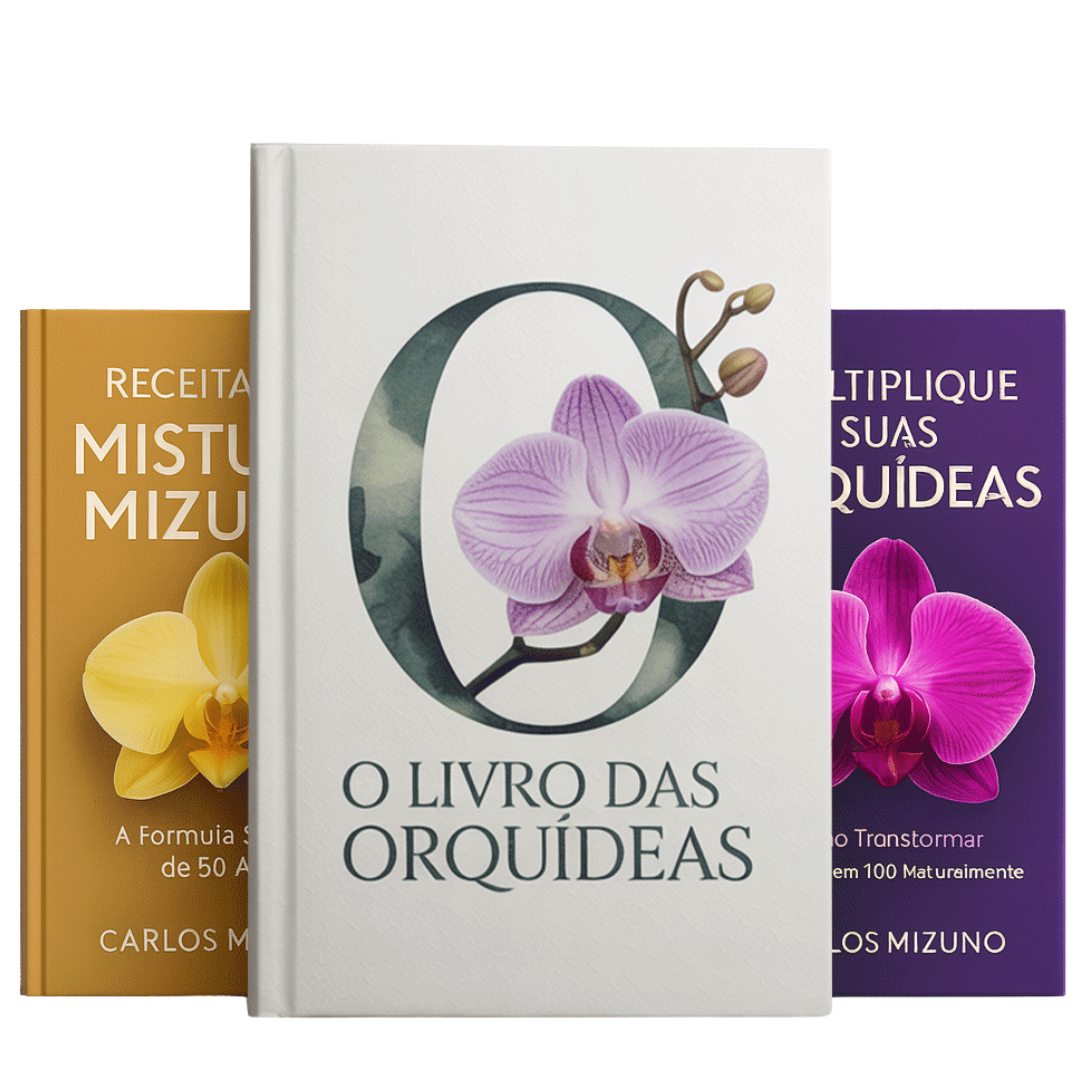 Combo completo: 3 livros